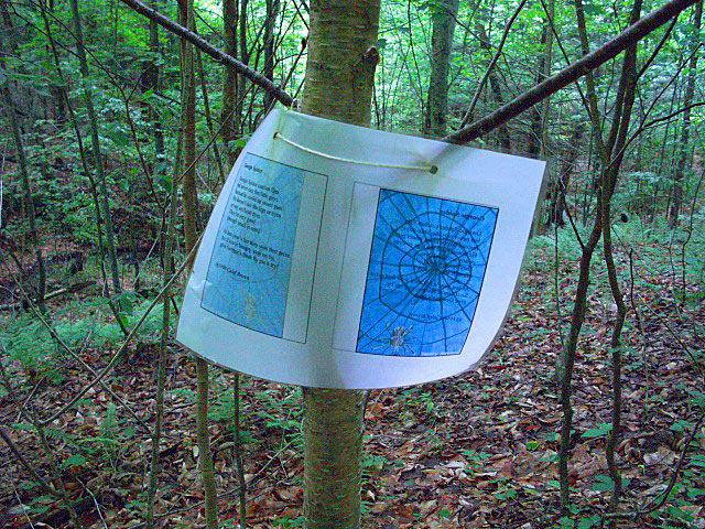 FX Shea Town Forest Poet Tree Path