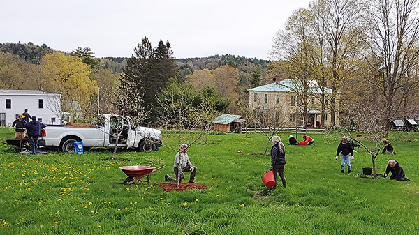Corinth Apple Orchard clean-up 2022